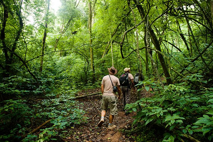 Rubondo Island Nationalpark