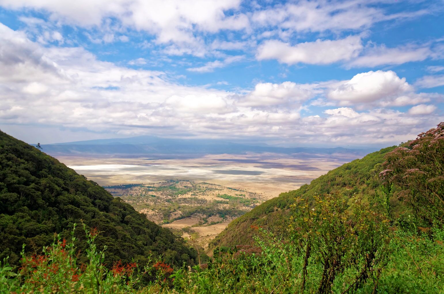 Ngorongoro Krater