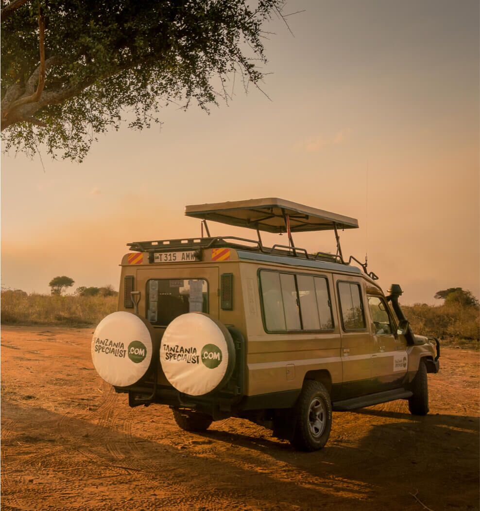 Tanzania Specialist Jeep unter einem Baum