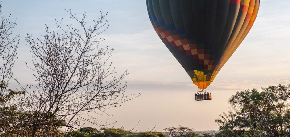 Heißluftballon schwebt über dem Boden, Bäume im Vordergrund
