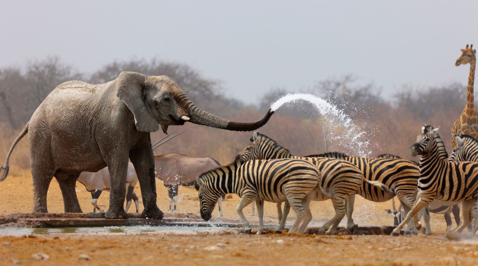 Arusha Nationalpark