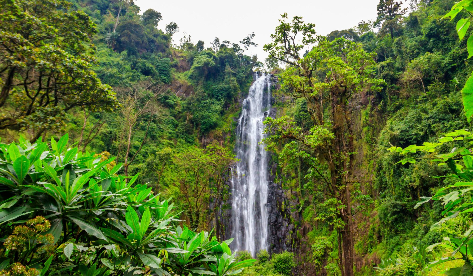 Wanderung von Materuni zum Kuringe-Wasserfall