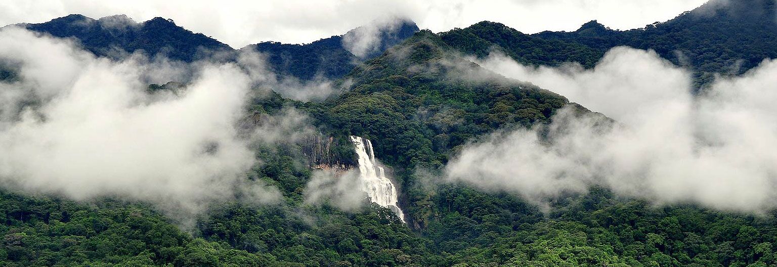 Bewaldete Berge in den Wolken mit Wasserfall