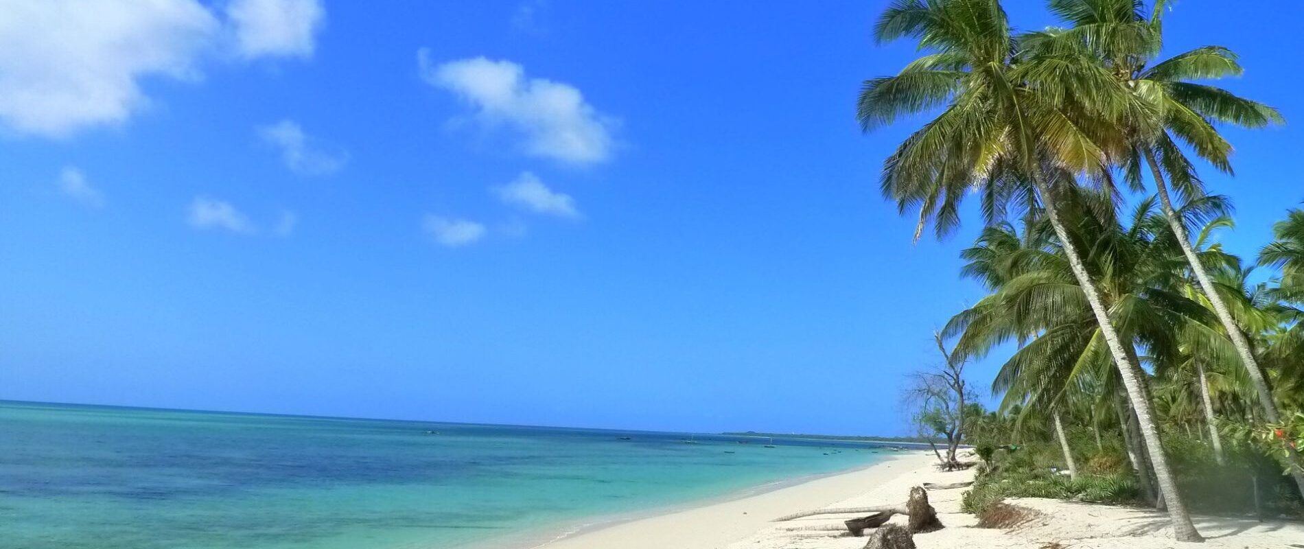 Weißer Strand mit blauem Wasser und Palmen