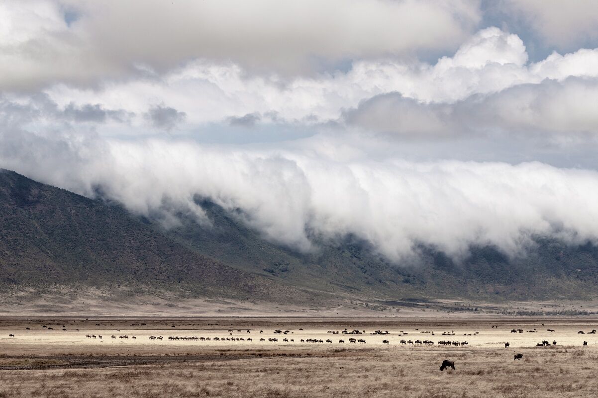 Ngorongoro Krater