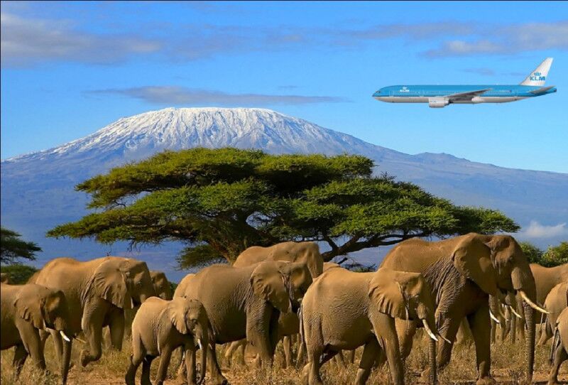 Ankunft am Kilimanjaro International Airport