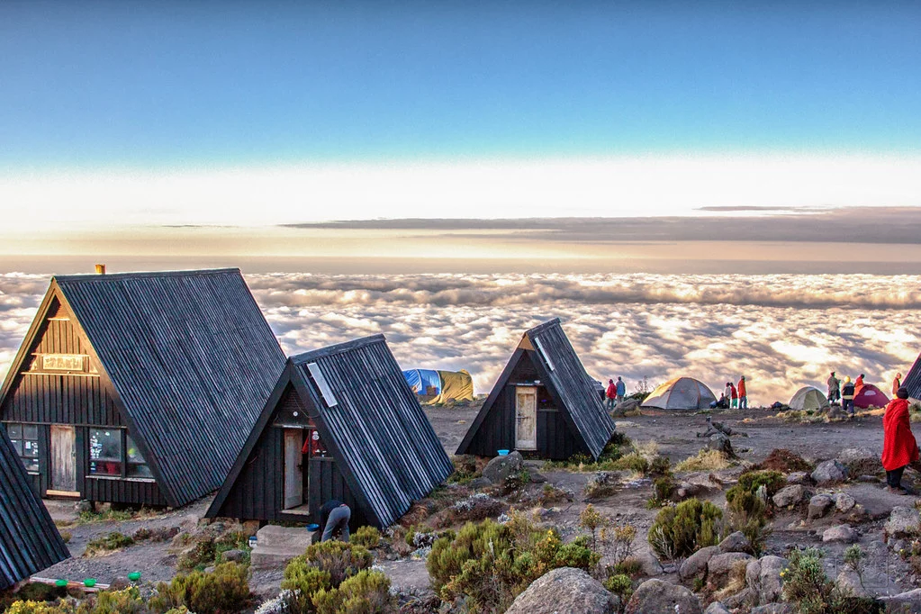 Marangu Route (2/5) | Mandara Huts (2.720 m) – Horombo Huts (3.720 m)