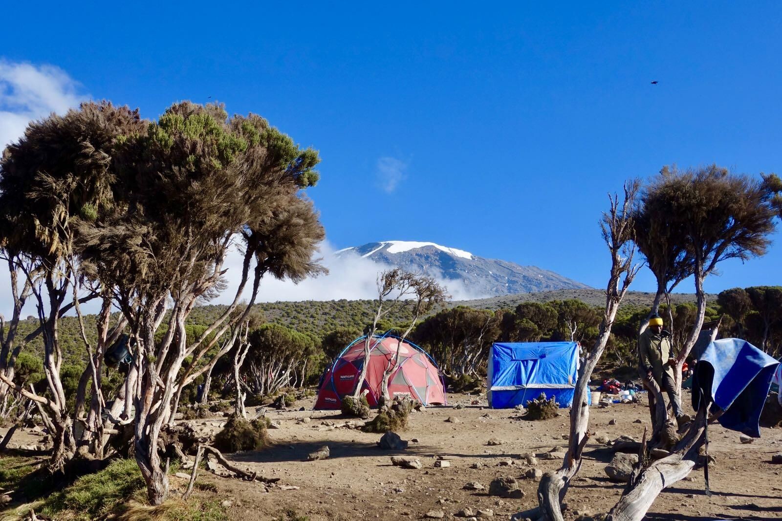 Machame Route (5/6) | Barafu Camp (4.645 m) – Uhuru Peak (5.895 m) – Millennium Camp (3.820 m)